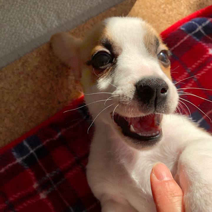 0b037fb5 ac38 4e19 922d 674abd454fd4 1544672727167