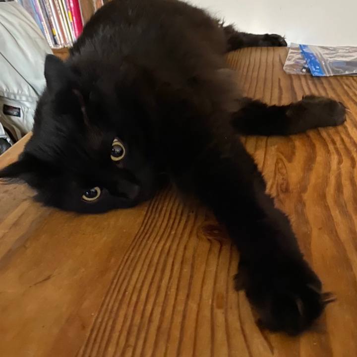 0b039310 c24f 40bc 8bfe 0a7acf56a419 1586667074264