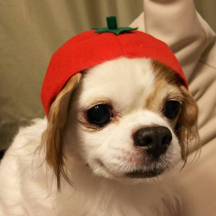 0b039517 83f0 4d26 9757 c130f18b46b7 1523442182384