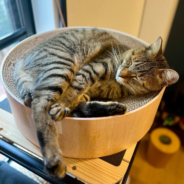 0b0398f6 b0b3 4351 89a6 2e811d5c5ab7 1760533012558