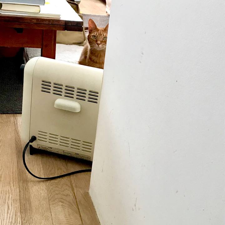 0b03b8ec 8151 45bb b3b5 739e7b084f8d 1547178290404