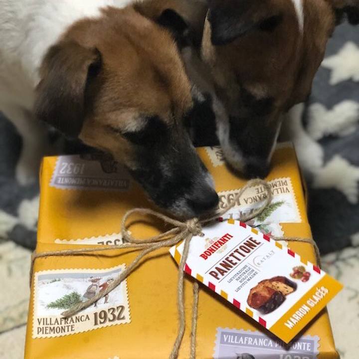 0b03be49 0fa0 45fd b03f 26d7c3fef137 1546095049642