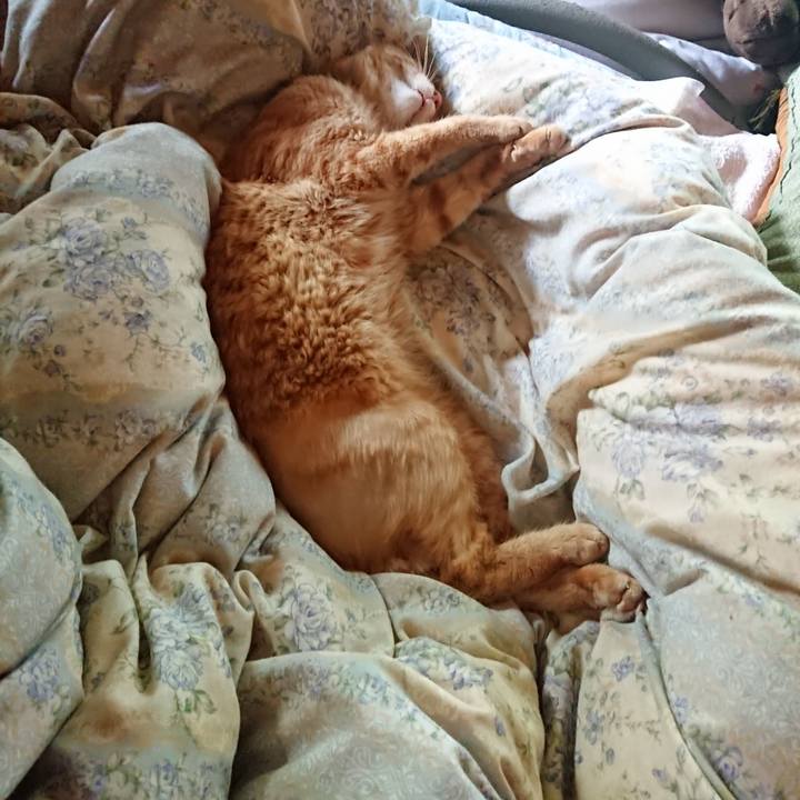 0b041aef 6f45 403c a7ee c688cc1132f5 1658635209619