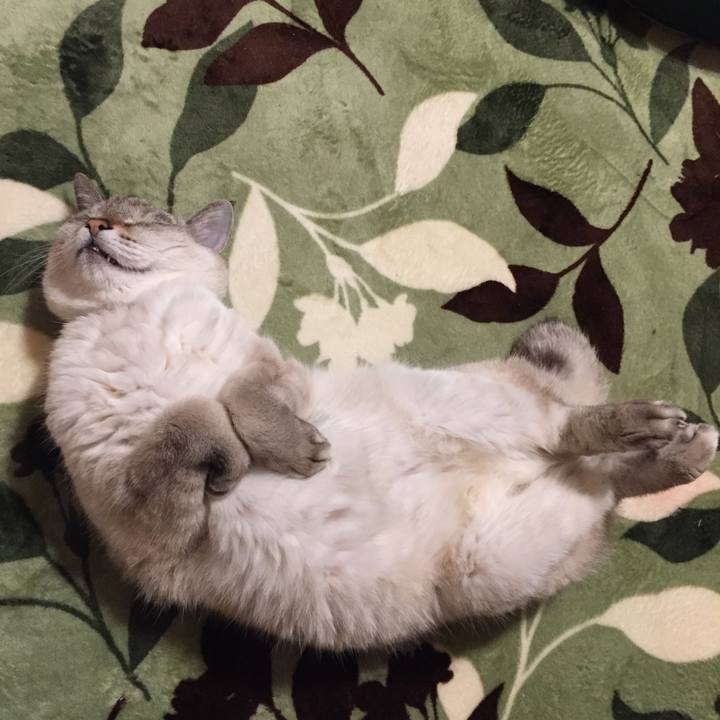 0b0432c5 8688 47e9 904c 09afed939b1b 1581158098858