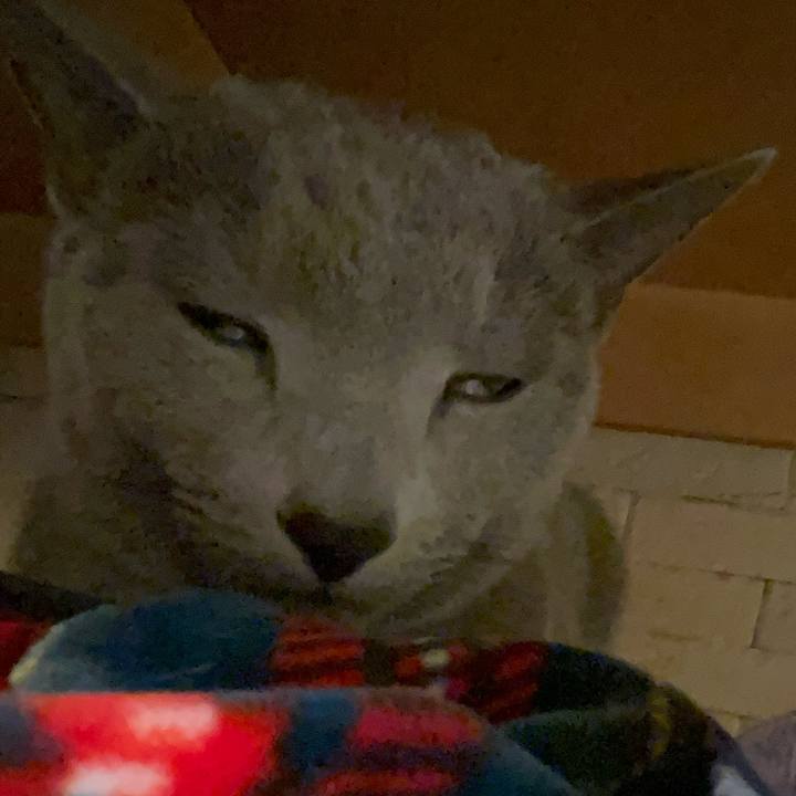 0b0451c2 2c02 41c4 9286 73cc8f999f19 1736329792021