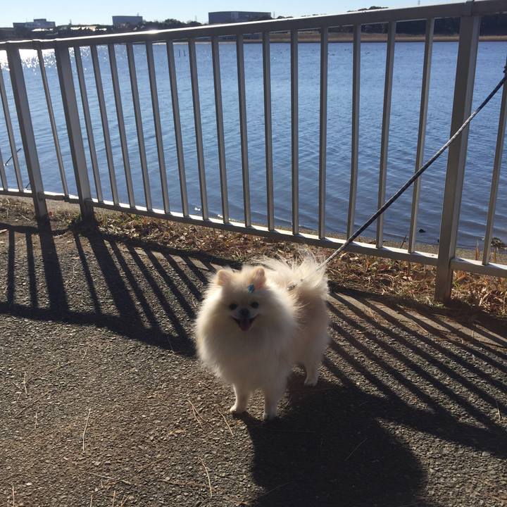 0b045726 4817 4ae5 bcd6 c7ef0c299fee 1546395874538