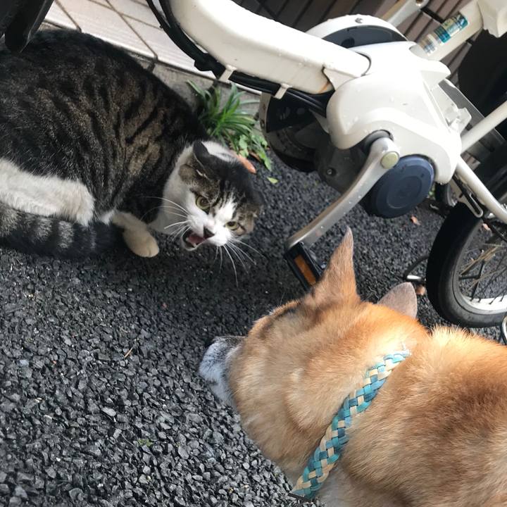 0b046ad8 d24f 4b6b 873e af93d9090b16 1537223206533