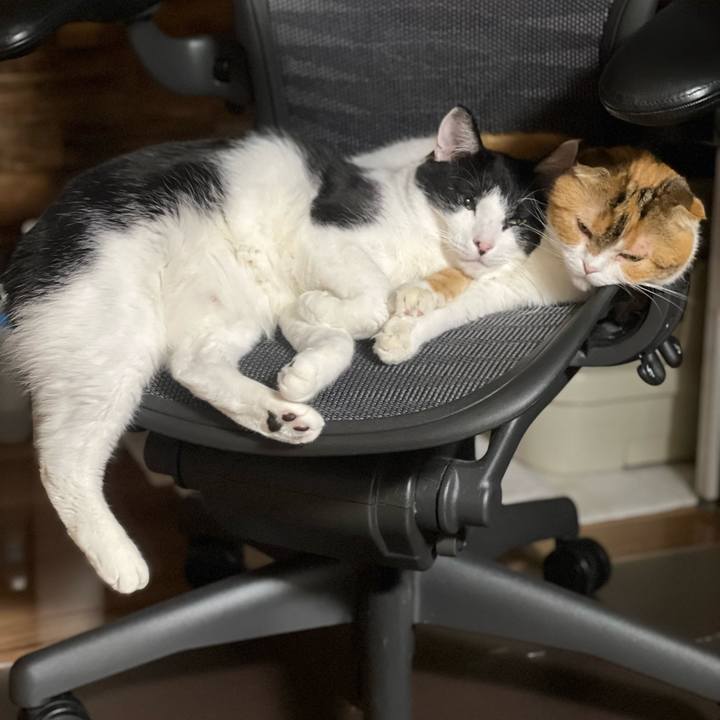 0b047475 25b0 4b8e 8412 74f780a61df5 1698764249490