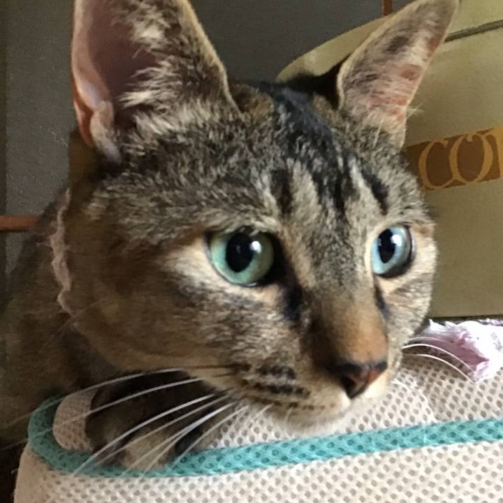 0b048f59 7b19 4104 819a e72babbc5c99 1653896520253