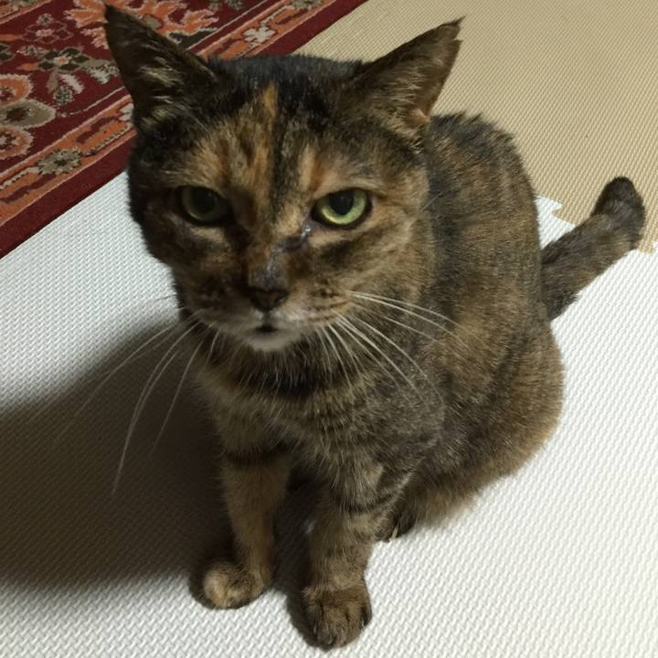 0b04966a 3865 4a57 9eb0 59d820e94b08 1643799402475