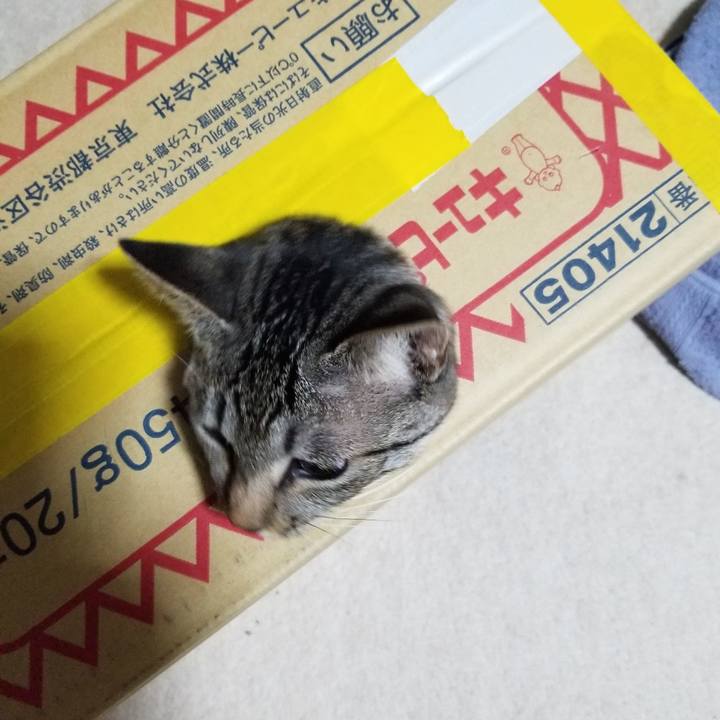 0b04a712 1631 470c b2af 7423ab74cc12 1682435926883