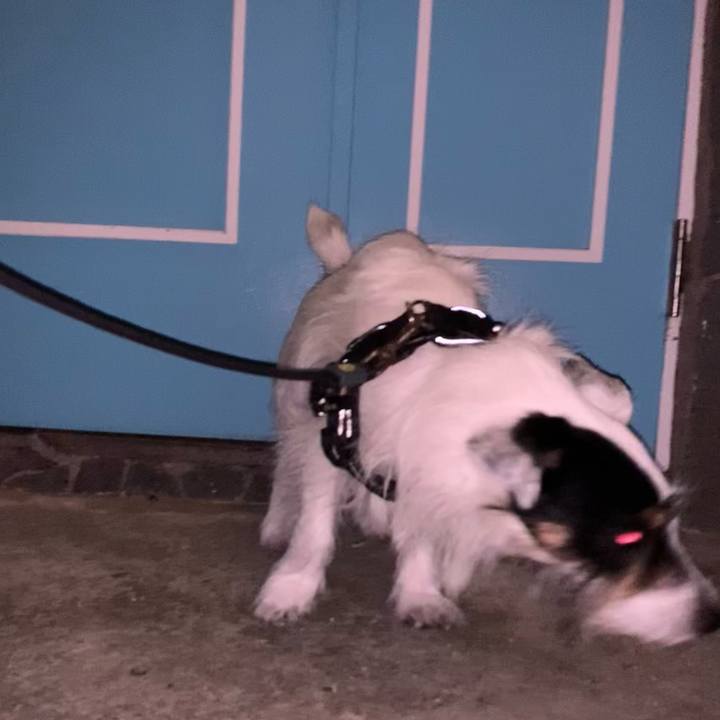 0b04add6 95f4 42b6 bf37 7be7712e876d 1691067762486