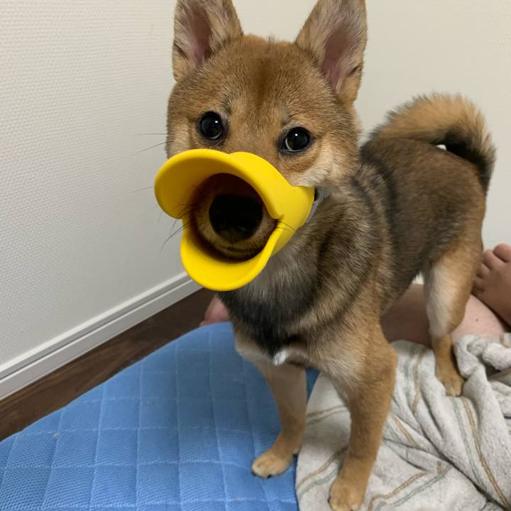 0b04ed91 e494 4c3c 9973 cd6cea0ca38b 1623760680359