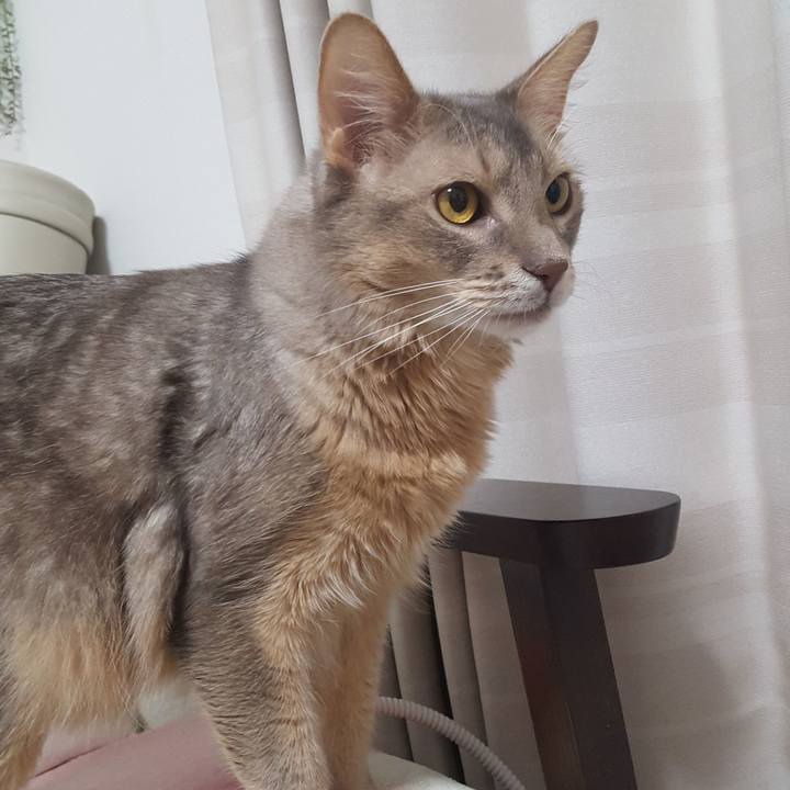 0b04efda ad7f 4460 88e4 df4db30c68b4 1575121051008