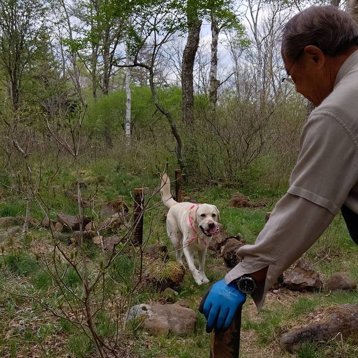 0b04fa5a 6e8b 48cc b9e0 f82654620b11 1590216171972