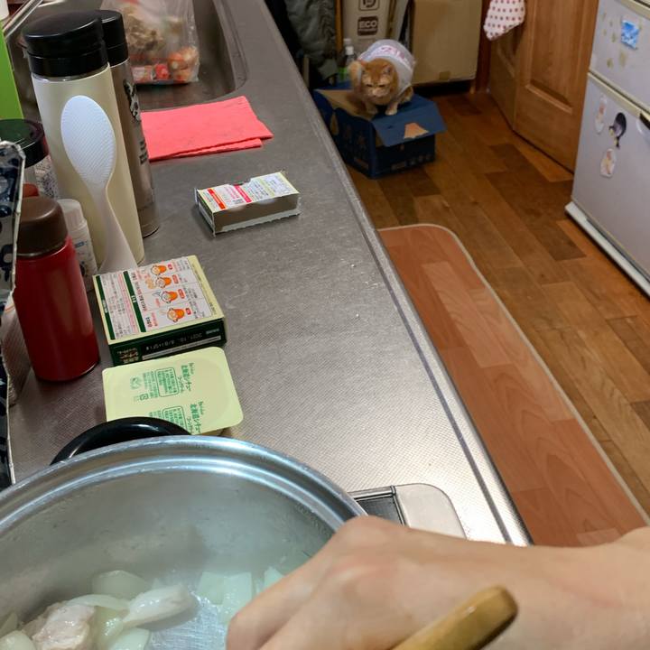 0b0542cf 7359 4b4f 93f0 19a30c2cae19 1605263274415