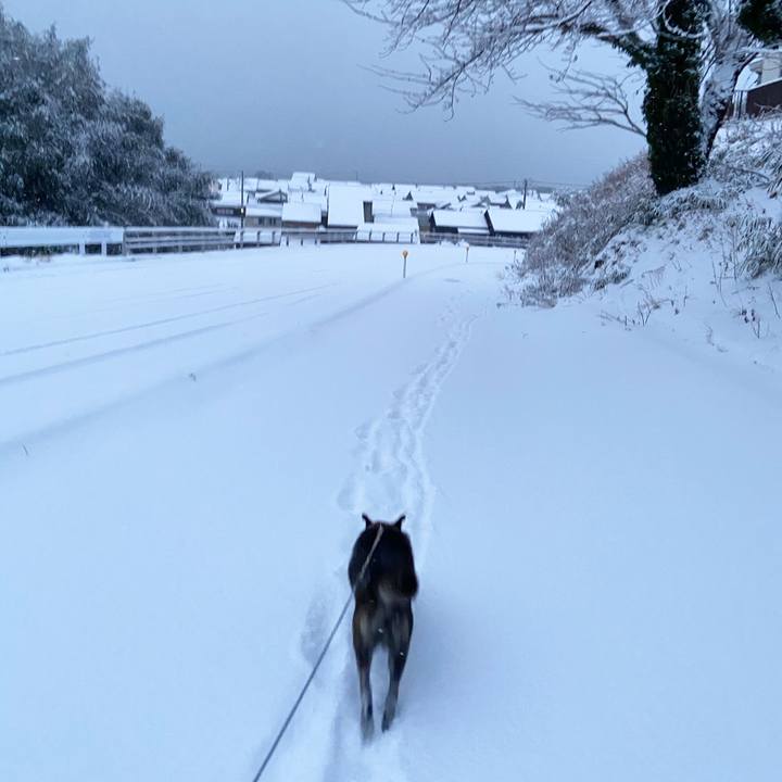 0b057219 f546 48cd 827d 38314fd95add 1610108302450