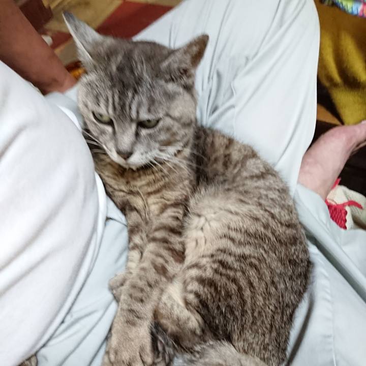 0b057792 7810 4773 a0aa aa1ca586081c 1566038942822