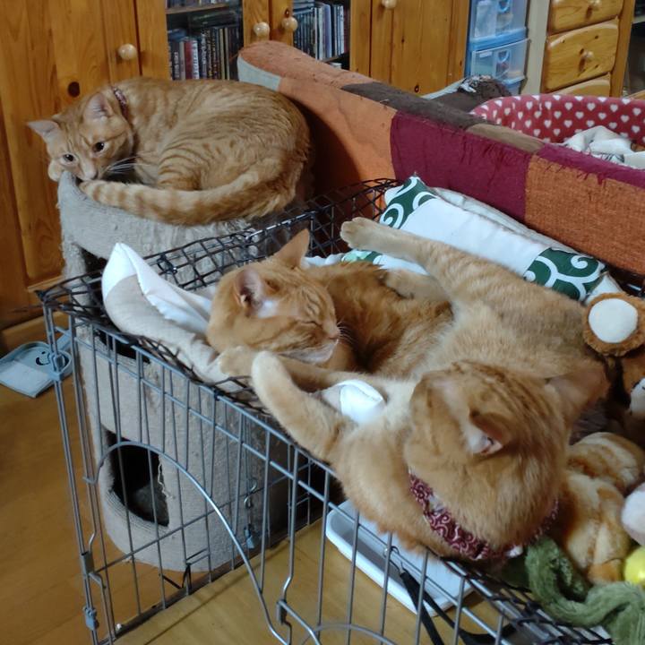 0b059659 5504 43c3 ab0c 80893dfe692a 1718260494600