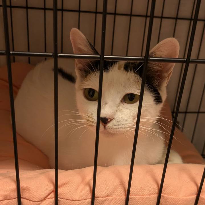 0b05ae9b 17ca 4cb9 91d1 778bd1fc00ff 1720710427046