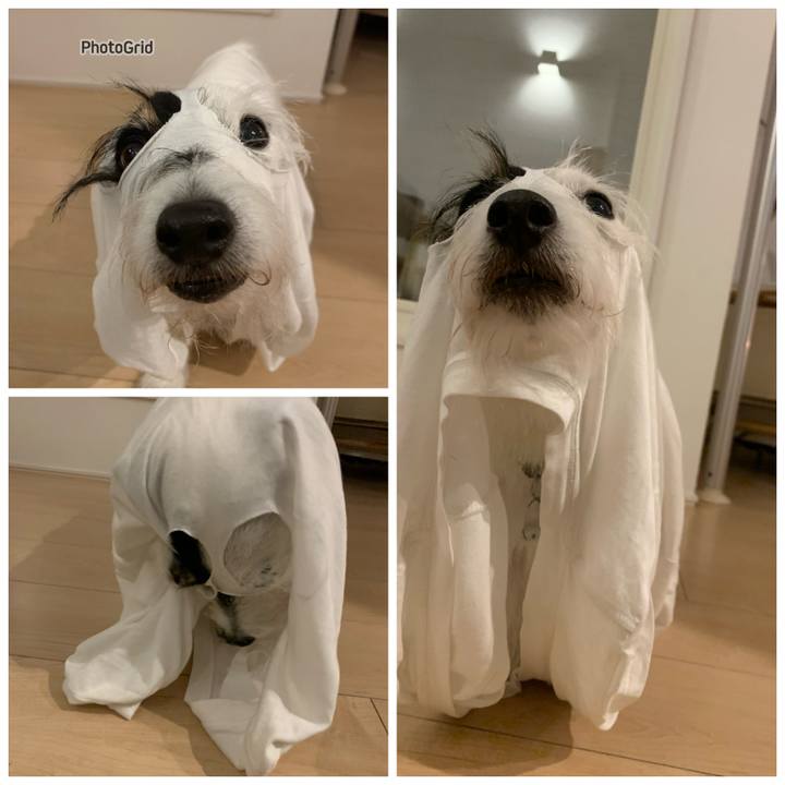 0b05d05c c45d 4f15 920f c51b60cc5549 1729163580075