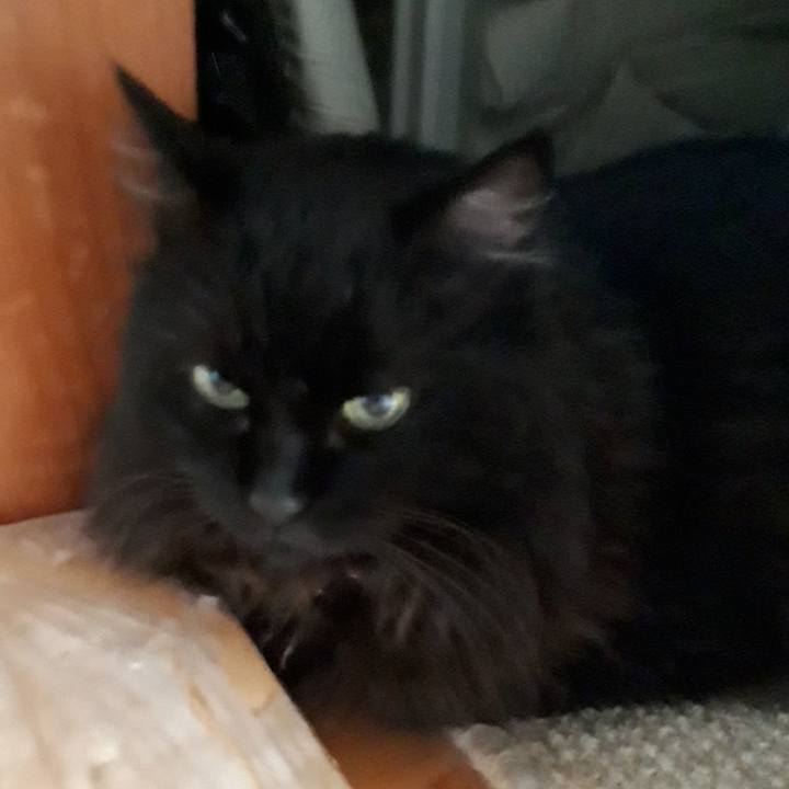 0b05e563 1a13 464a bcee 7c80713abacd 1532900062427