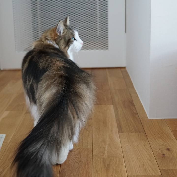 0b05f0e6 17d7 45ab 8a3a a4cdc5b29514 1549087161709