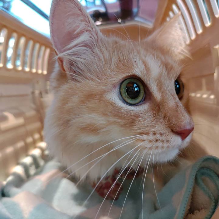 0b060cee 64cd 4921 8147 0c3654831185 1700898882604