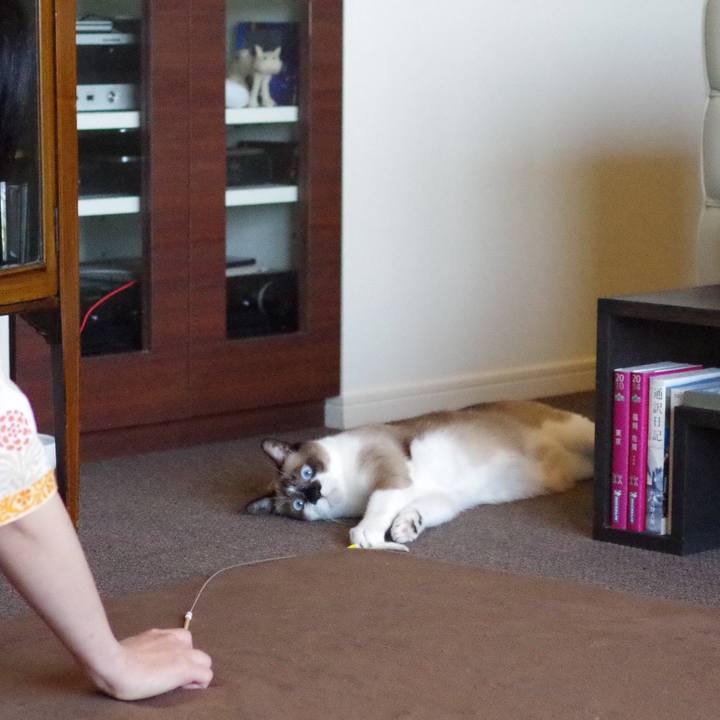 0b067a9d 5e4f 4729 ad02 63264dbdb654 1531793948155