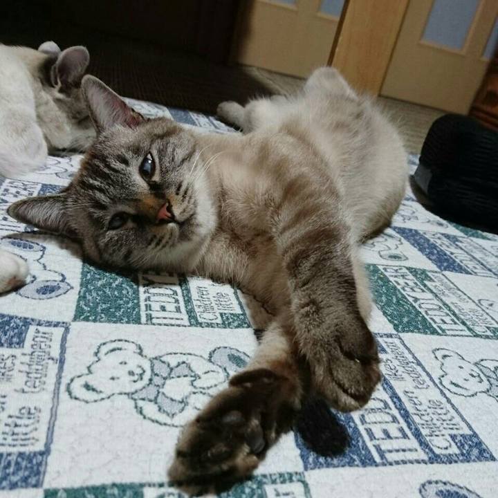 0b06a9e5 b382 4a0b 8e7b be545491b00f 1509727733064