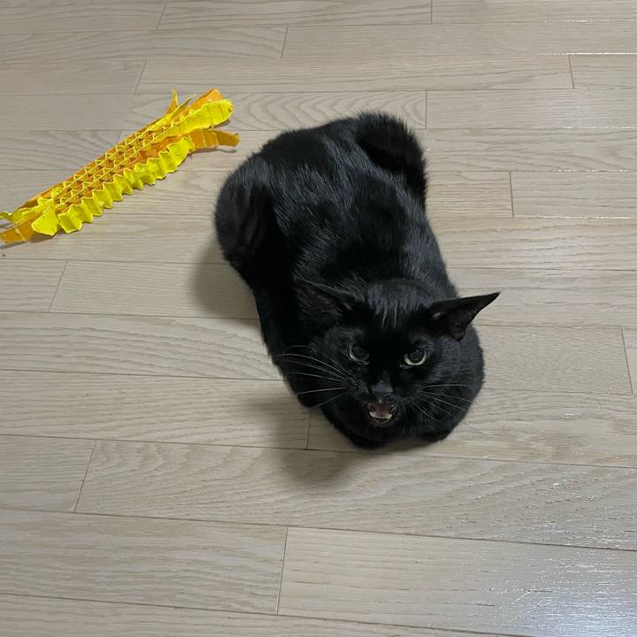 0b06b248 d992 4144 a2a5 23b025653dba 1717159466778