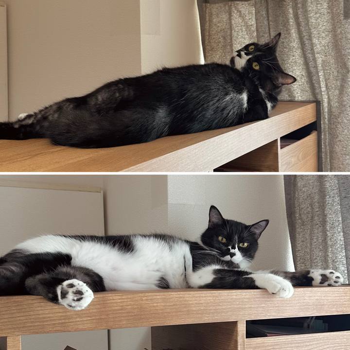 0b07086e d23b 4495 8dcb 71ea183b3bab 1756354259730