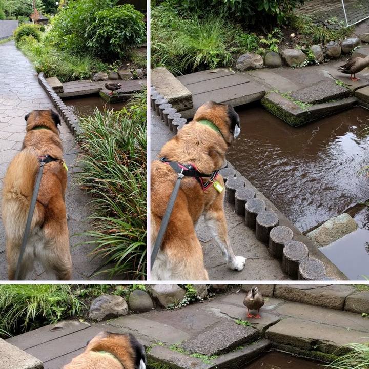 0b071b77 0f79 43e1 8d33 577556b62a07 1525915856527