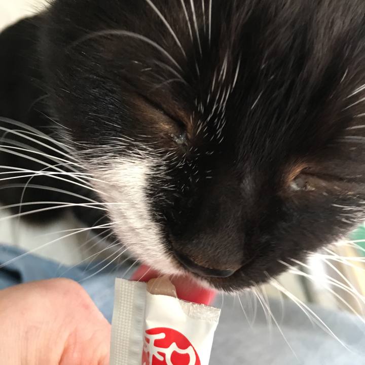 0b0726a1 230a 4ed8 afc8 2e7d4b755fc1 1583413631215