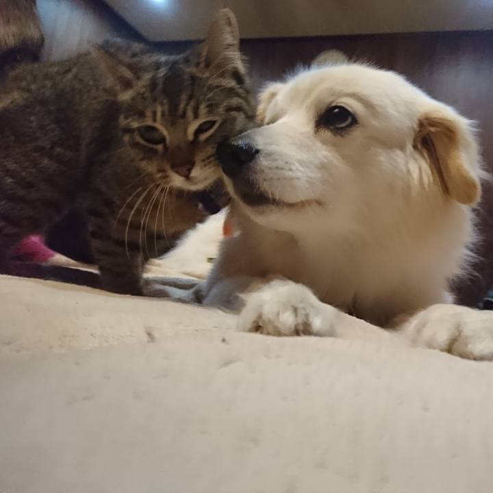 0b079485 060f 482e b0d3 b8a97bf542c2 1640098536471