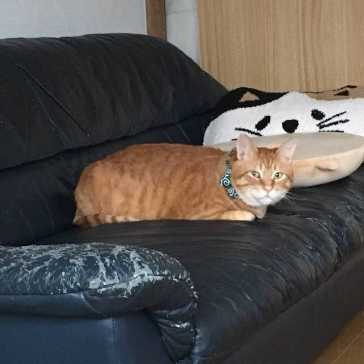 0b07c465 6201 437a 9221 d0c41ad1942d 1552252529861