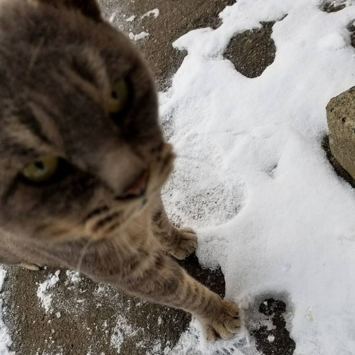 0b07dc1e 3c5c 4a4b 9813 8be99c27225b 1511852961700