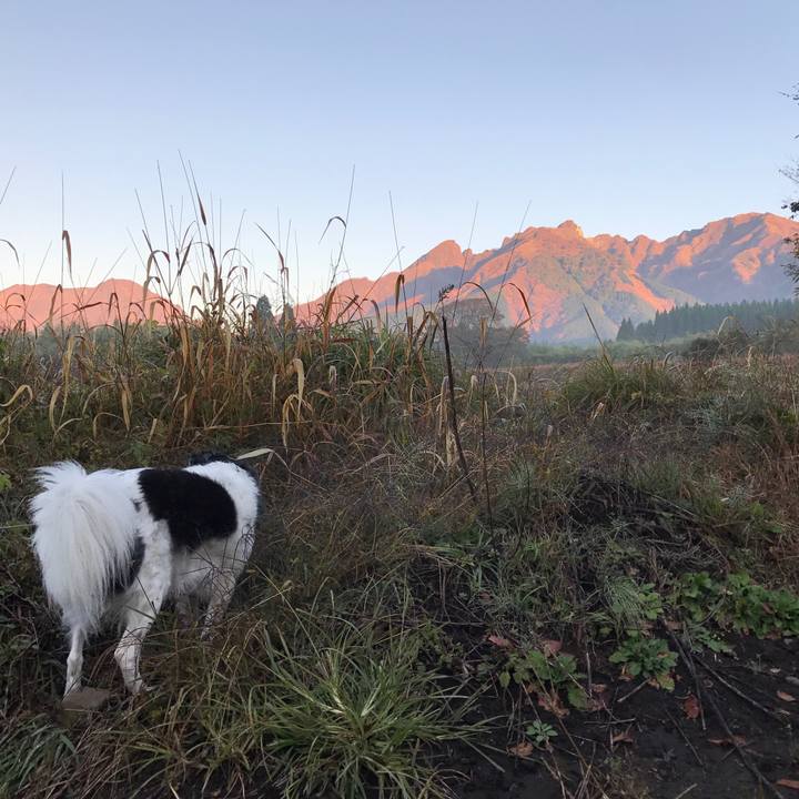 0b07fa79 29b9 4997 89b3 456d1dc69b2f 1541857216184