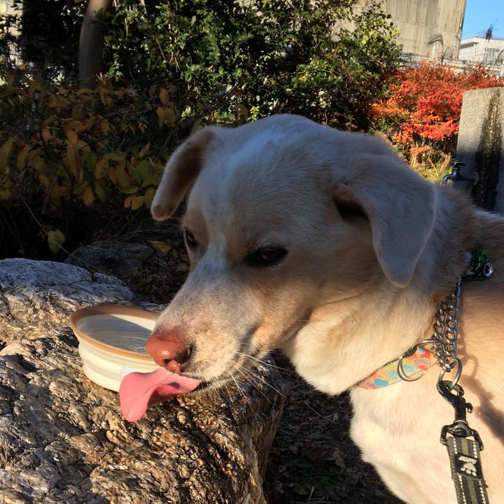 0b08710e d03f 4e10 a937 85c5e911f4fa 1513827307861