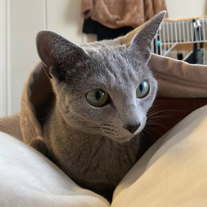 0b0889fe 18c9 4ac6 8f74 326fb2a60c5b 1646266618427