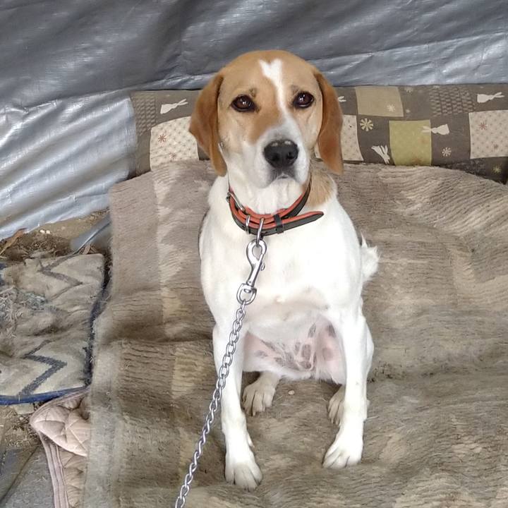 0b08ec3f 7c7f 46e1 9752 15f45a0b72f4 1625193535397