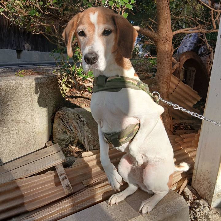 0b0970c0 fd7e 45a1 870c 5e6effb097db 1767421914325