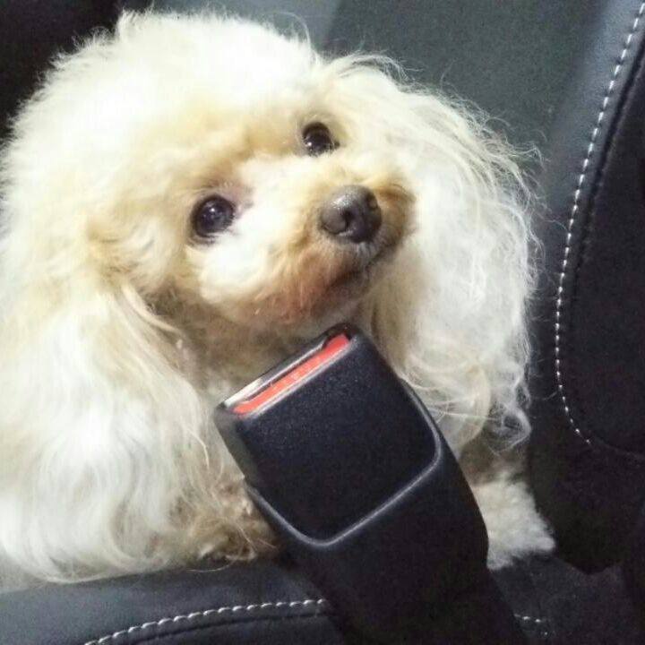 0b097630 7315 41cf 937e 38f4b3643154 1532694247337