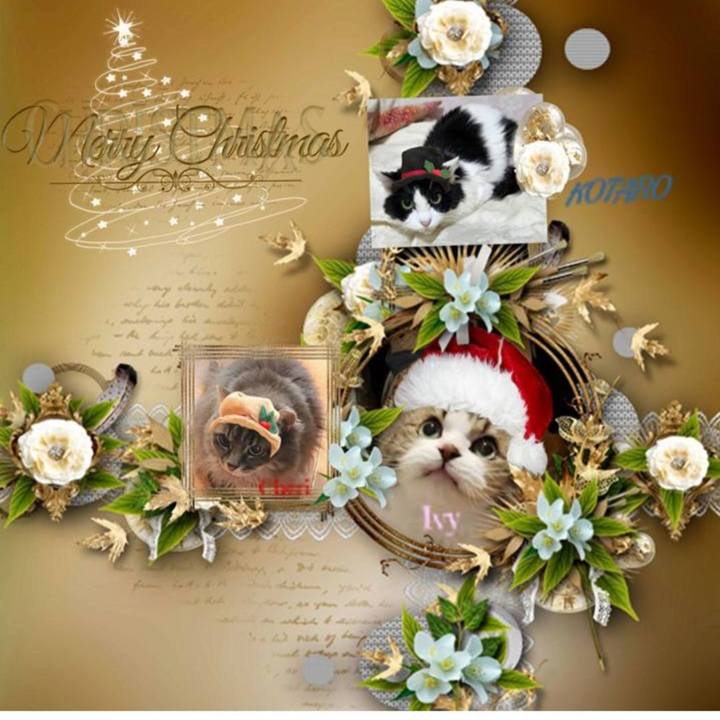 0b097afa 5978 4103 9cc3 b3c3e25a553e 1735294281930