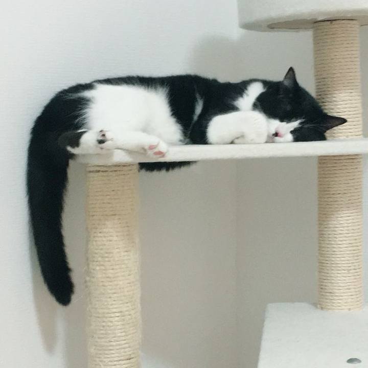 0b0a6722 d8b0 4abd a954 494a2cf15555 1525908890269