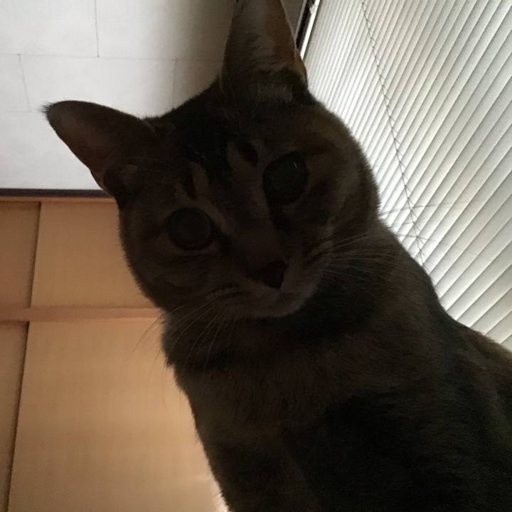 0b0a90a4 e86b 467b a221 84848d9915d1 1584397990334