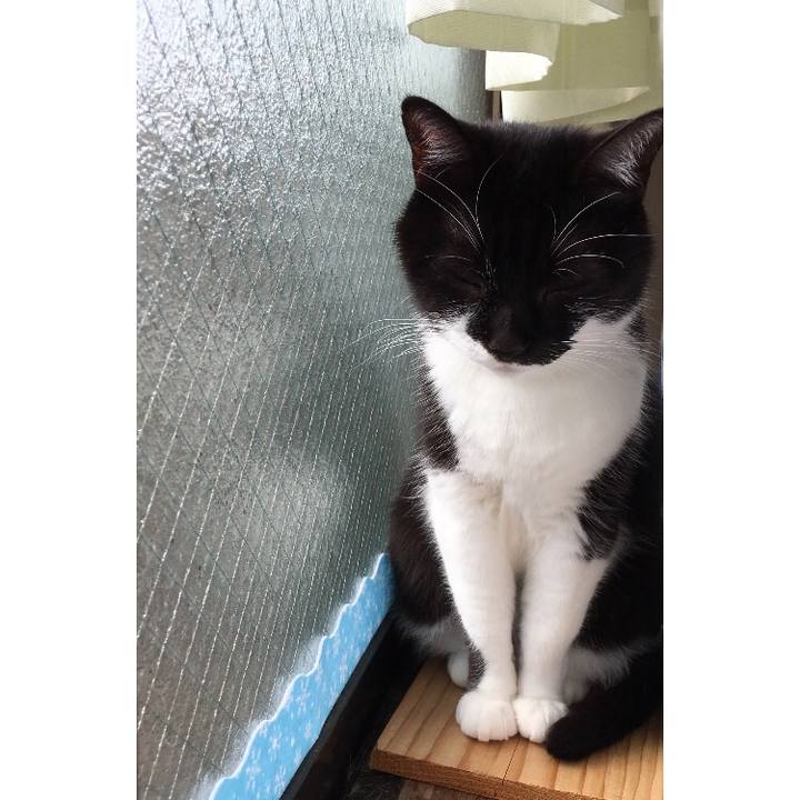 0b0ac62d 6eef 4782 97dd 49218ac0ca8a 1518067803966