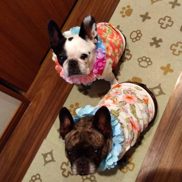 0b0adba8 d178 491f ad13 ae25915b408e 1709182713071