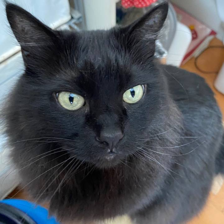 0b0afc56 cc70 4c3b 8342 bb94d4edabd0 1583472252072