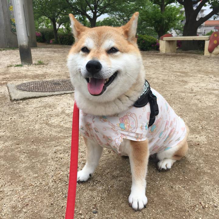 0b0afee0 c9df 4f23 a8b1 62d402d3079e 1588566165132